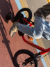 迪卡侬儿童自行车HYC500初学者刹车钢制降低式车架幼儿车铃 14寸红色【高碳钢车架】车+辅助轮 晒单实拍图