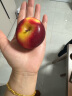 乐淇（ROCKIT）新西兰火箭筒苹果 3筒礼盒装 单筒245g起 5粒/筒 生鲜 新鲜水果 实拍图