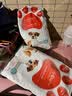 凡可奇小安心狗粮幼犬专用泰迪金毛拉布拉多中小型犬冻干奶糕正品凡可奇 小安心成犬通用2.5kg 实拍图