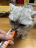 布兰德全价鲜煮主食猫条无诱食剂幼猫成猫孕期通用猫条 扇贝5支装 实拍图