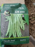 寿禾 四季豆种子种苗无筋蔬菜种籽 潍育玉条四季豆种子100g(大规格) 实拍图