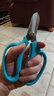沃施园艺修剪枝剪刀鲜花花艺剪子不锈钢果树剪园林工具厨房剪刀蓝色 实拍图