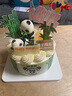 味多美 蛋糕生鲜 水果儿童奶油生日蛋糕 北京同城配送  熊猫乐园蛋糕 15cm 原味坯杂果夹心 实拍图