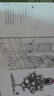 离骚全译本 楚辞珍藏古风插图 浪漫古典诗歌 长篇政治抒情诗 屈原 杨永青 黄晓丹 创意汉服设计 参考  高中语文阅读篇目 实拍图