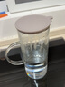 北鼎（Buydeem） 玻璃泡茶壶茶水分离带滤嘴大容量茶壶凉水壶办公室家用高硼硅 高硼硅玻璃凉水壶 1200ml 实拍图
