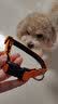 petlimit狗狗脖圈项圈小狗中大型犬颈圈柴犬泰迪金毛狗链脖套宠物用品柔软 桔色 S-脖围30-40cm建议4-8kg 实拍图