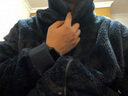 蕉内绒绒501H睡衣男女士小围脖珊瑚绒开衫情侣家居服秋冬季加厚保暖 【王一博同款】曼石灰 XL 实拍图
