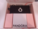 潘多拉（PANDORA）[618]银色圆梦手镯925银简约diy高级百搭情侣生日礼物送女友 银色圆梦手镯 19CM(建议120-130斤) 实拍图