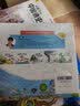 小果树儿童科普读物绘本全套5册大自然的奥秘奇妙的昆虫6-10岁幼儿科普故事书幼儿动物植物科学探索痒痒树的秘密暑期阅读科学启蒙 实拍图