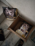威尔逊馋嘴 流浪猫粮成猫幼猫粮专为流浪猫定制的猫粮 基础款15斤 实拍图