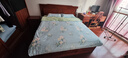 百丽丝水星家纺出品床上四件套纯棉100%全棉四件套床品被套床单套件1.5m床 实拍图