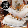 乐食港乐食港 波士顿龙虾鲜活波龙大龙虾加拿大进口 2.9斤-3.1斤/整只 实拍图