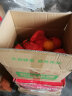 四川正宗小丑橘桔子水果 黄果柑新鲜水果黄金果整箱柑橘 9斤（净重8.5） 【中果】果径65-75mm 晒单实拍图