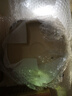 NUOLIKES土砂锅炖锅家用商用干烧土陶煲汤锅粥底打边炉碳炉围炉烧烤炉火锅 口径22cm【带盖】 2-3人份 1600ml 实拍图