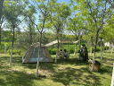 TANXIANZHE探险者帐篷户外全自动天幕帐篷一体式速开折叠帐野餐露营装备 晒单实拍图