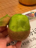 裕琼徐香猕猴桃陕西周眉县绿心奇异果新鲜水果中秋节礼物 30枚中果 单果约60-80g 精品果 实拍图