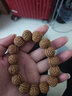 山中玉树王藏式金刚菩提手串高密龙鳞纹盘龙纹男女佛珠小菩提生日礼物男 山中玉-锦囊袋 实拍图