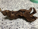 逸乐宠 紫柚木鱼缸造景沉木天然枯木头水族草缸懒人装饰型莫斯树桩根 小号沉木15-20cm(形状随机) 实拍图