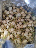 参庆堂 茉莉花80g 原产茉莉花苞 茉莉花茶叶新花干花 清香花蕾 实拍图