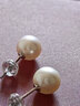 京润珍珠耳钉女18k金初思淡水珍珠耳饰圆形大颗粒情人节礼物送女友 实拍图
