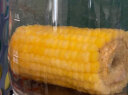 十月稻田 黄金8cm玉米段1.6kg 东北黄糯玉米 23年黏糯玉米棒 低脂杂粮 晒单实拍图