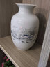 隆贺 景德镇陶瓷器小花瓶花插家居装饰客厅摆件婚庆插花瓶台面工艺品 雪景冬瓜 带底座 实拍图