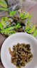 登科笋丝青豆 500g独立小包装杭州临安好运来毛豆笋干休闲零食品 实拍图