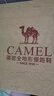 骆驼（CAMEL）加绒男鞋高帮休闲父亲秋冬保暖棉鞋 K14C36L3635 中灰/黑 39 实拍图