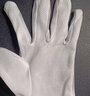 百舸 防静电手套 点胶点塑防滑电子厂劳保作业手套  均码 10双 CW548293 实拍图