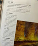 色彩与光线：写实主义绘画指南（珍藏版） 詹姆斯·格尔尼 贵哥翻译推荐（绘客出品）与艺术的故事媲美 看懂西方名画 人民邮电出版社 实拍图