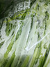 蒿子杆300g 实拍图