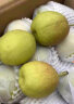 京鲜生 新疆库尔勒香梨 2.5kg 一级 单果100g-120g  生鲜水果 晒单实拍图