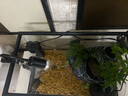 爬将军 乌龟缸特大号 玻璃造景晒台草龟大型养龟箱盆别墅家用生态龟缸 50cm缸【餐四】双流水晒台15件套 实拍图