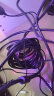 绿联 六类网线 千兆高速网络宽带线 6类家用电脑笔记本路由器监控线 CAT6八芯双绞成品跳线黑色10米 实拍图