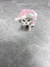 华元宠具（hoopet）猫咪衣服幼猫可爱四脚装冬季冬天保暖布偶猫无毛猫衣服宠物防掉毛 粉色兔耳朵四脚装-带绒款 M-(建议5-8斤) 实拍图