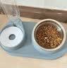 hoopet猫碗双碗不锈钢狗狗碗宠物猫粮食盆自动饮水器水碗喂食器陶瓷用品 三合一宠物碗-莫蓝 实拍图