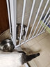 康贝尼狗碗不锈钢猫碗悬挂式笼子固定狗盆食盆喝水碗防打翻 宠物用品 加高款大号/18cm/70斤内狗用 实拍图