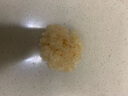 承真堂 正宗小银耳干货白木耳无硫丑耳出胶糯雪耳长白山野外生椴木 【1罐】【小银耳】250g 实拍图