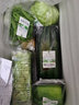 密农人家鲜嫩圆白菜 绿甘蓝新鲜蔬菜  新鲜现摘绿球白菜500g 实拍图