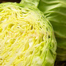 北菜园油菜有机油菜250g（上海青）新鲜蔬菜【进店多样加购】火锅食材 250g/份 实拍图