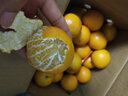 吉果叔 正宗广西茂谷柑 应当季新鲜水果薄皮脏脏柑橘石灰柑橘子整箱 净重4.5-5斤 【中大果】果径65-70mm 实拍图