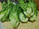 柏馋【现货】新鲜芥菜 大叶青菜 大苦菜可做酸菜 当季蔬菜 3斤净重新鲜采摘 实拍图