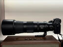 尼康（Nikon） Z 180-600mm f/5.6-6.3 VR 全画幅 长焦轻量化 拍鸟 变焦镜头 实拍图