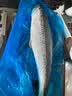 鲜源澜湾 青岛大鲅鱼3-20斤大鲅鱼马鲛鱼新鲜海鲜水产冷冻1条过节鲅鱼礼盒 6斤以上整条 实拍图