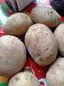 中鲜生 云南红皮黄心小土豆新鲜蔬菜火锅食材 大土豆9斤（比鹅蛋还大） 实拍图