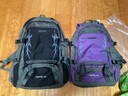 奥利·帝克 旅游背包男旅行包大容量双肩包休闲电脑包轻便防水户外登山包女 紫色 40L大号（7-15天长途旅行） 实拍图
