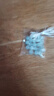 织星多彩猫眼石散珠diy手链手串珠饰品配饰红白猫眼圆珠子粉红蓝 白色  10MM一份约22颗 送线 实拍图