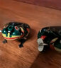 Murcia铁皮青蛙玩具发条小动物8090后儿时怀旧上链弹跳跳蛙儿童生日礼物 实拍图