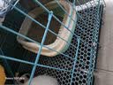 憨憨宠猫砂盆特大号猫厕所半封闭猫沙盆幼猫成猫防外溅猫屎盆猫咪用品 茶青绿  小号 实拍图