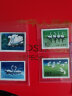 沈明收藏 JT邮票 1983年-1984年 T字头邮票 全新品 中国集邮套票 T83天鹅 邮票 实拍图